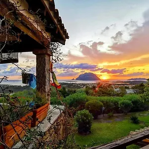  Bed & Breakfast Acchiappasogni